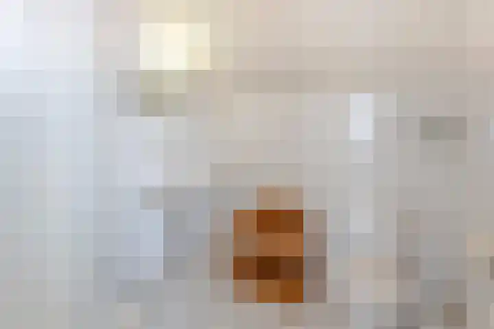 Reepijzer 8 Hardinxveld-Giessendam thumbnail 16