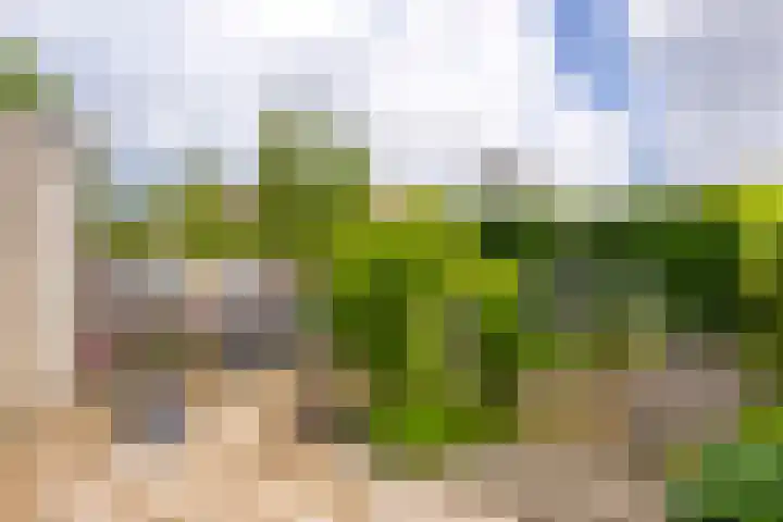 Reepijzer 8 Hardinxveld-Giessendam thumbnail 18
