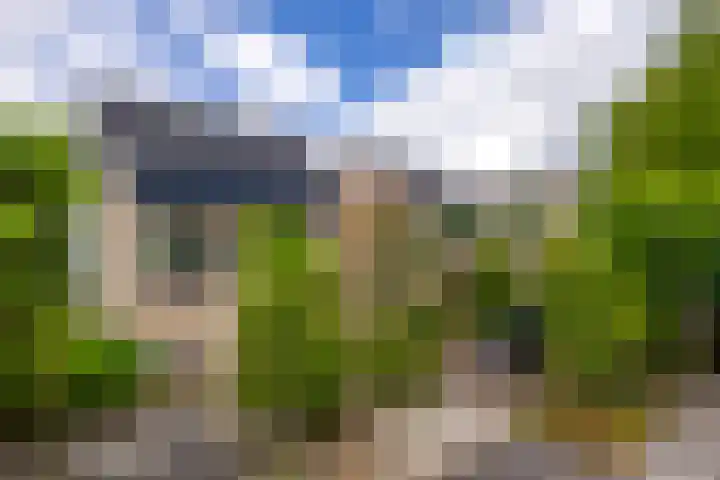 Reepijzer 8 Hardinxveld-Giessendam thumbnail 19