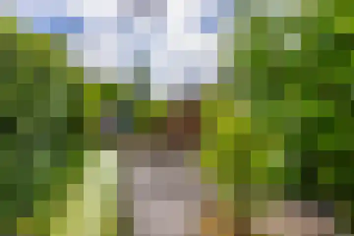 Reepijzer 8 Hardinxveld-Giessendam thumbnail 20