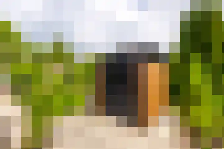 Reepijzer 8 Hardinxveld-Giessendam thumbnail 21
