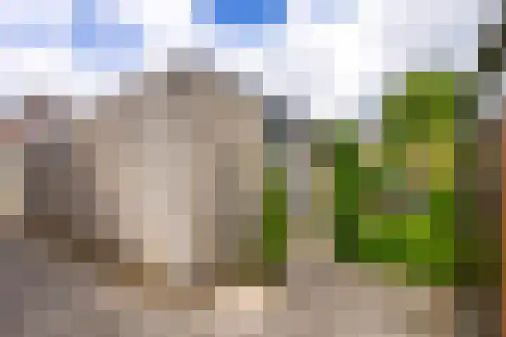 Reepijzer 8 Hardinxveld-Giessendam thumbnail 22