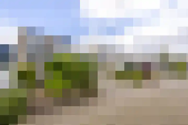 Reepijzer 8 Hardinxveld-Giessendam thumbnail 24