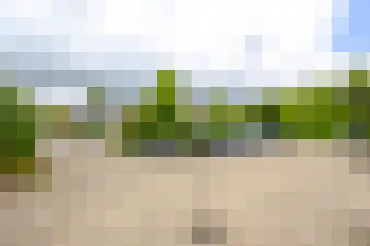 Reepijzer 8 Hardinxveld-Giessendam thumbnail 25