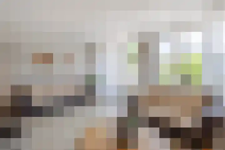 Reepijzer 8 Hardinxveld-Giessendam thumbnail 4