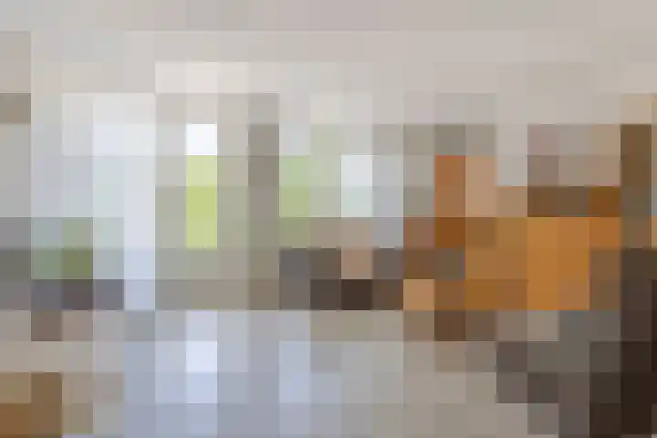 Reepijzer 8 Hardinxveld-Giessendam thumbnail 5