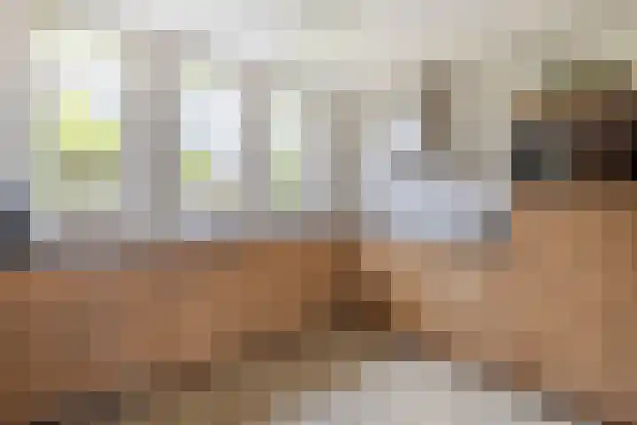 Reepijzer 8 Hardinxveld-Giessendam thumbnail 7