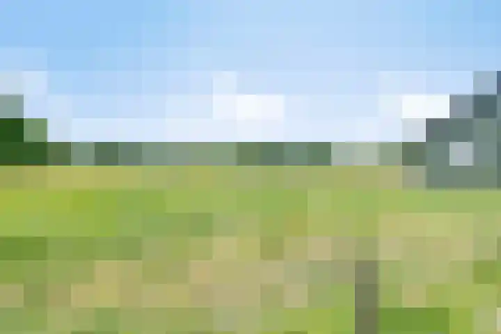 Reerinkweg 3 Hengelo (Gld) thumbnail 31