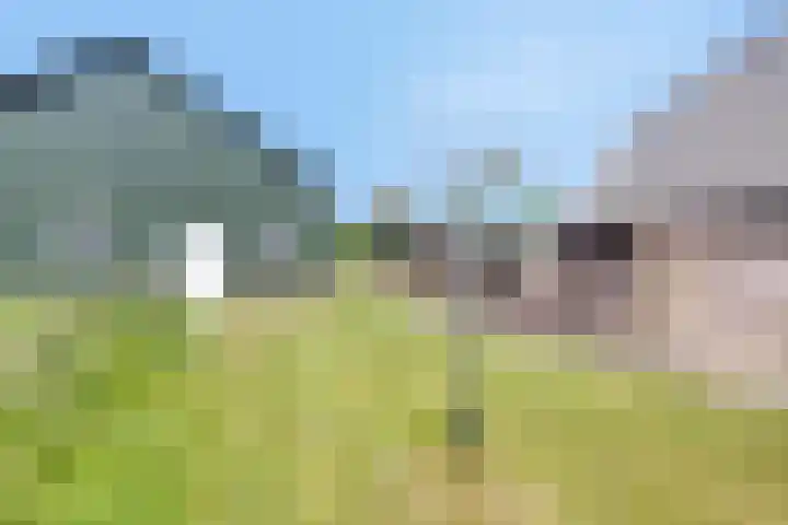 Reerinkweg 3 Hengelo (Gld) thumbnail 32