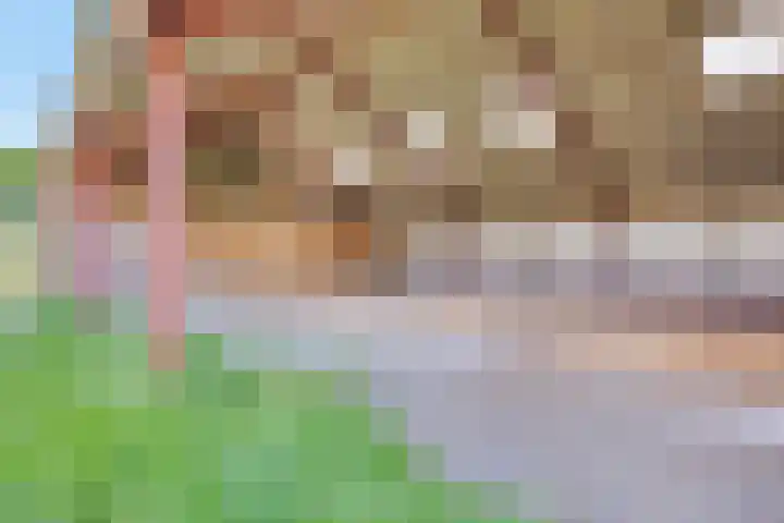 Reerinkweg 3 Hengelo (Gld) thumbnail 36