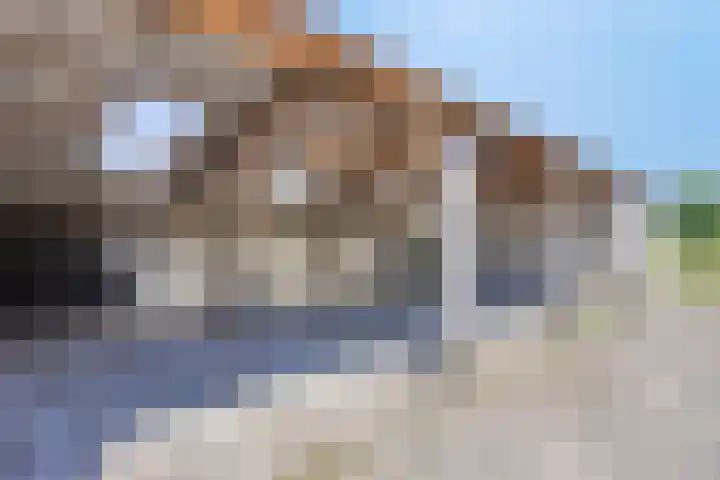 Reerinkweg 3 Hengelo (Gld) thumbnail 41