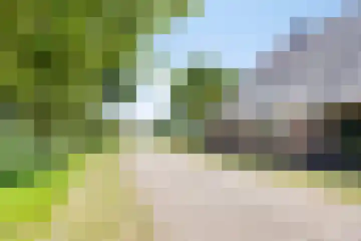 Reerinkweg 3 Hengelo (Gld) thumbnail 44