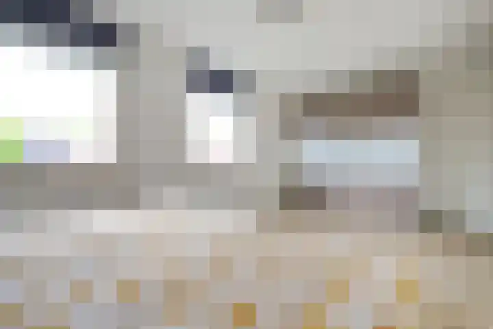 Reeshofbos 13 Ede thumbnail 12