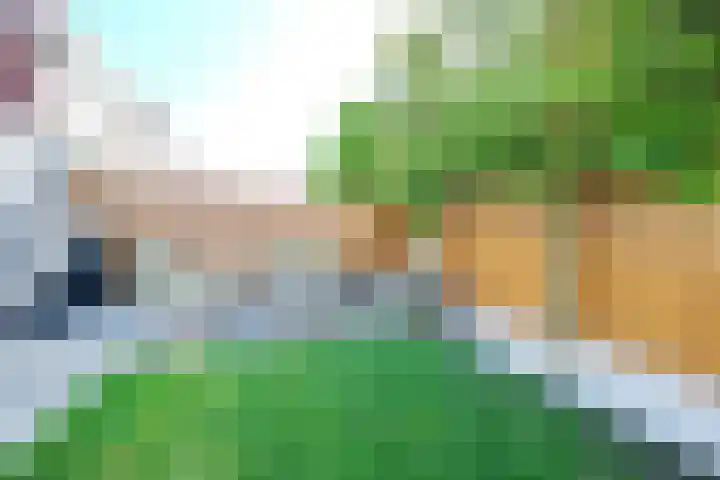 Reeshofbos 13 Ede thumbnail 25