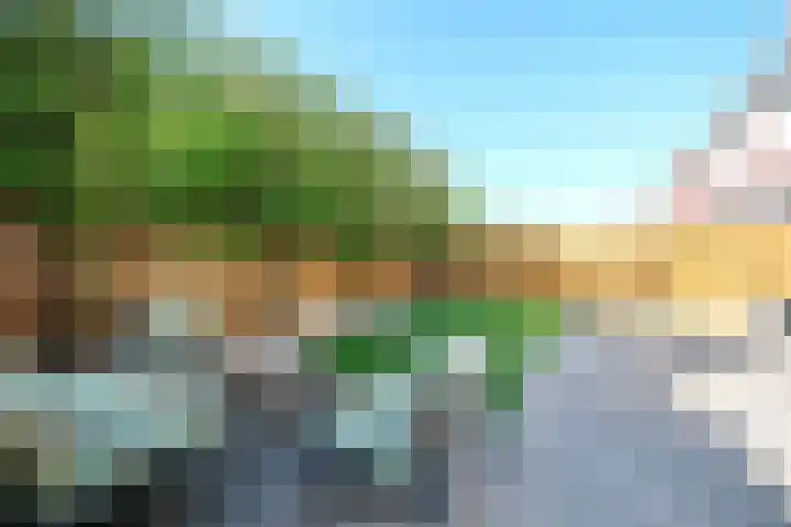 Reeshofbos 13 Ede thumbnail 26