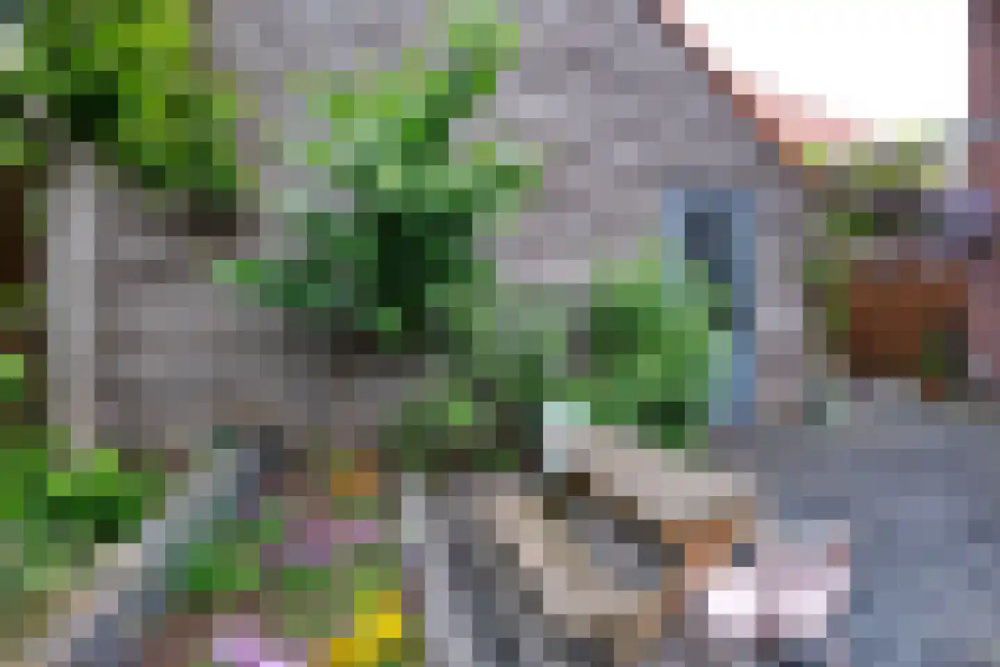 Reeshofbos 4 Ede thumbnail 29