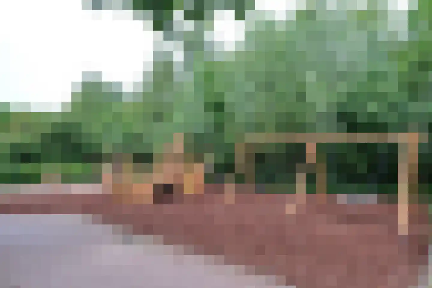 Reeshofbos 4 Ede thumbnail 34