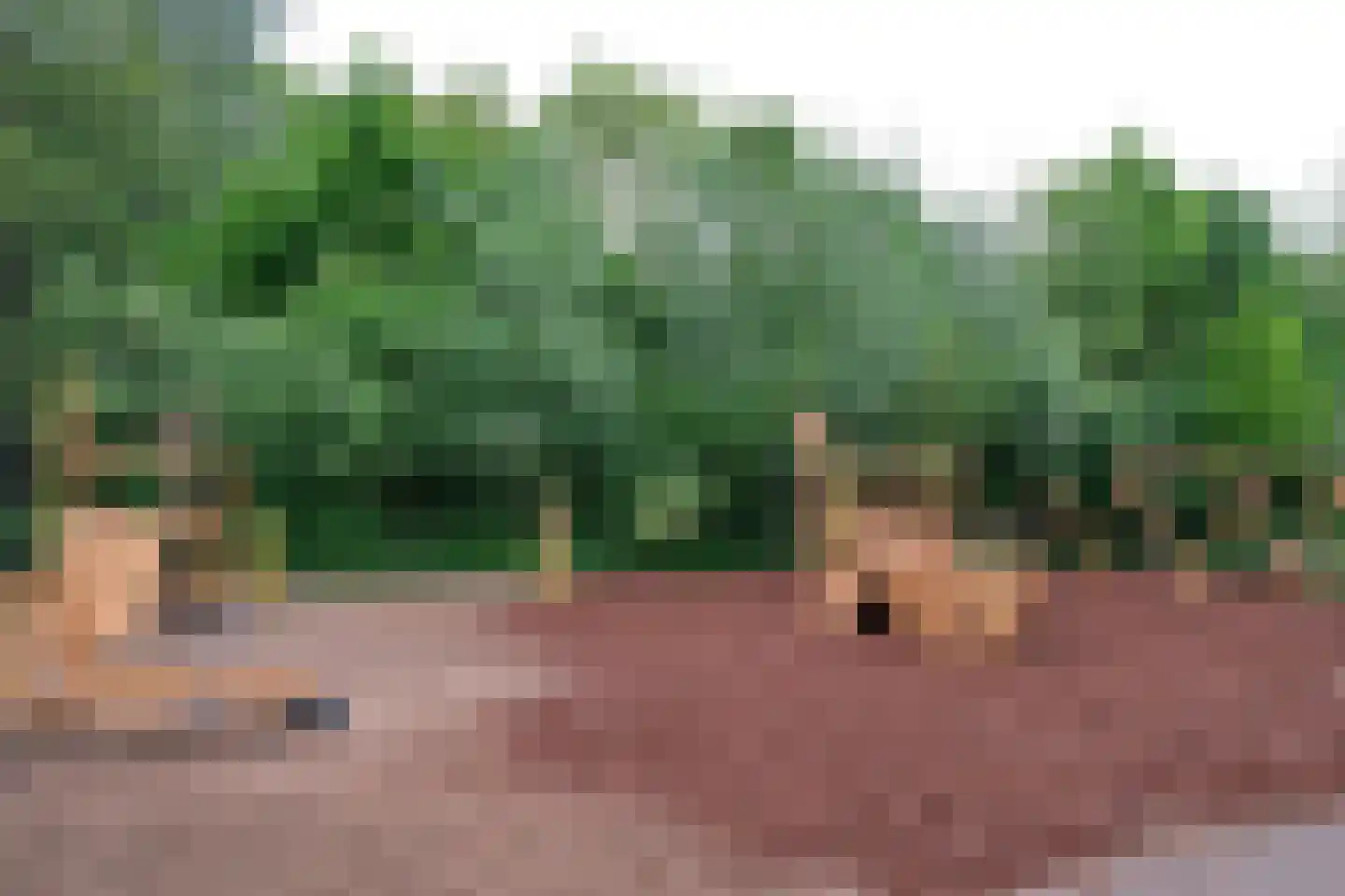 Reeshofbos 4 Ede thumbnail 35