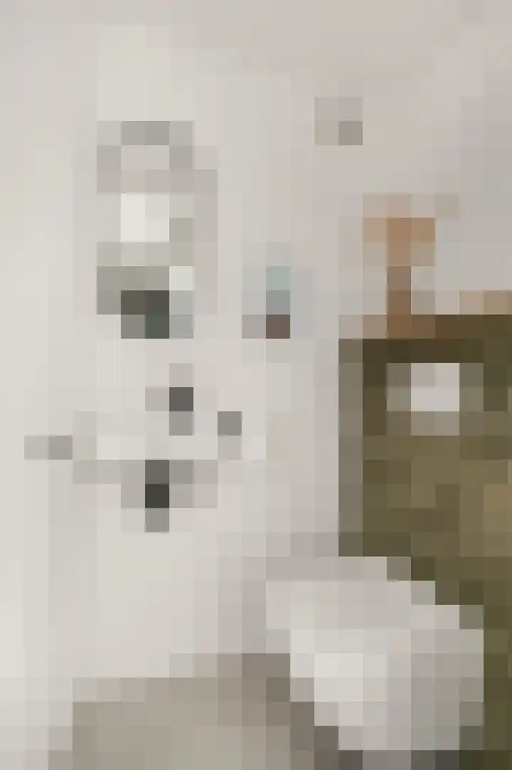 Reeshofbos 40 Ede thumbnail 10