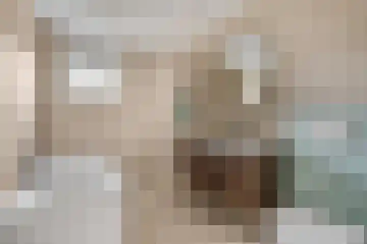 Reeshofbos 40 Ede thumbnail 20