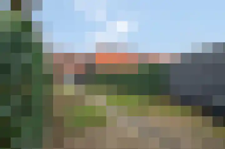 Reeshofbos 40 Ede thumbnail 34