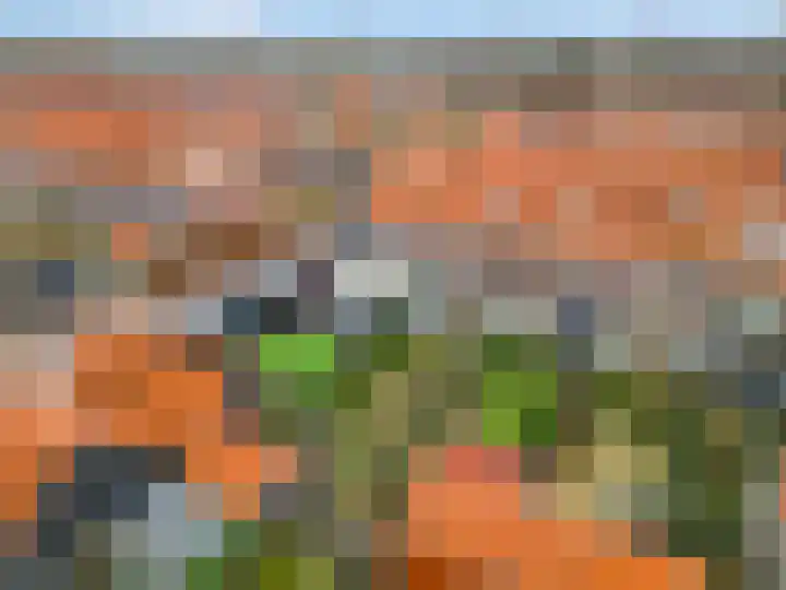 Reeshofbos 40 Ede thumbnail 40