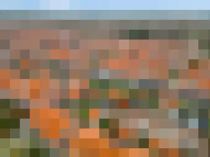 Reeshofbos 40 Ede thumbnail 42