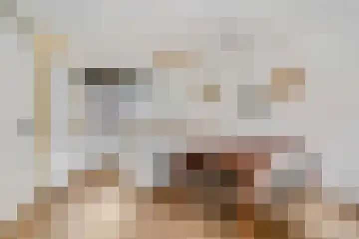 Reeshofbos 40 Ede thumbnail 5