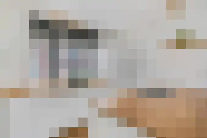Reeshofbos 40 Ede thumbnail 6