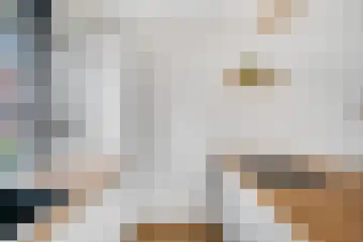 Reeshofbos 40 Ede thumbnail 7