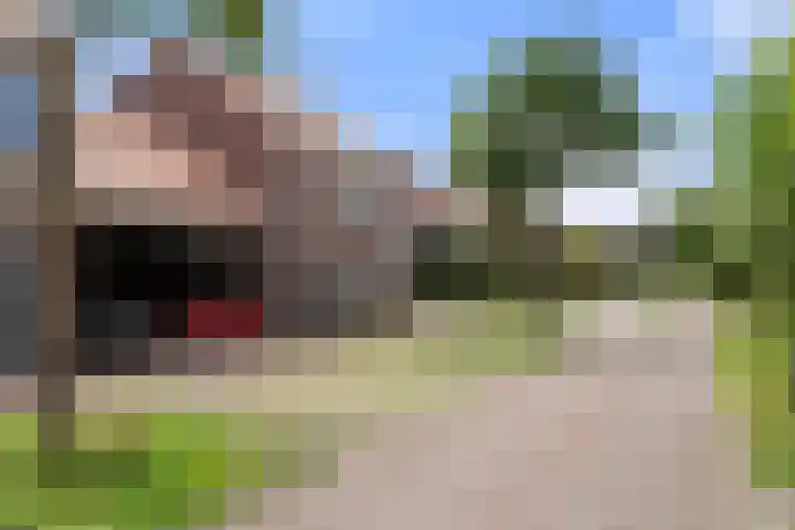 Reeshofbos 43 Ede thumbnail 10