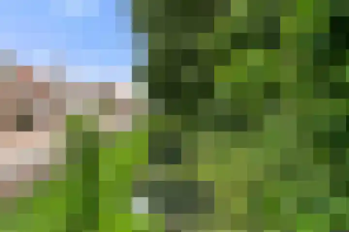 Reeshofbos 43 Ede thumbnail 11