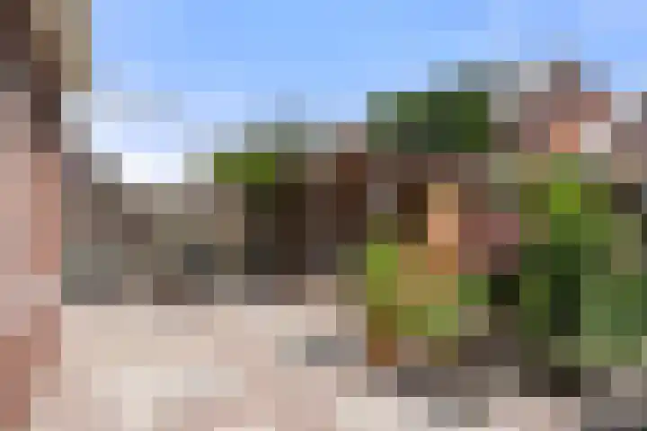 Reeshofbos 43 Ede thumbnail 14