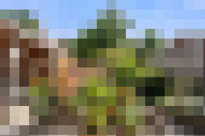Reeshofbos 43 Ede thumbnail 15