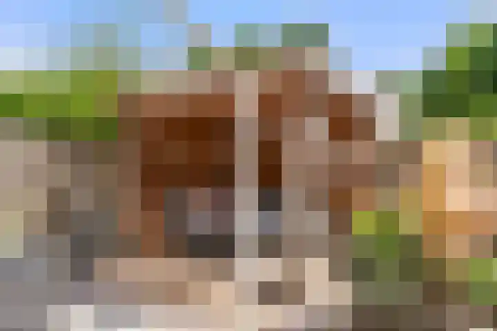 Reeshofbos 43 Ede thumbnail 16