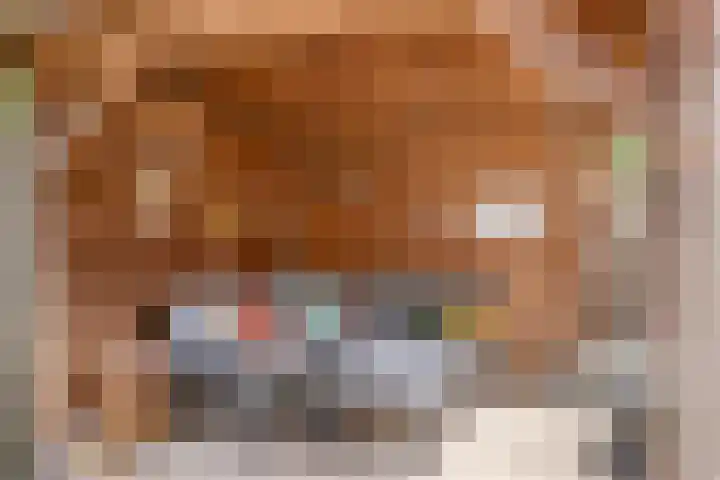 Reeshofbos 43 Ede thumbnail 17