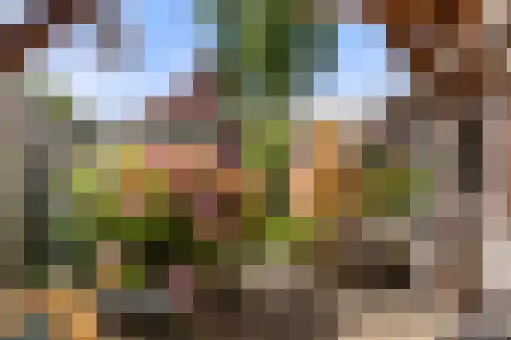 Reeshofbos 43 Ede thumbnail 18