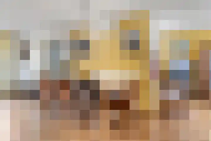 Reeshofbos 43 Ede thumbnail 28