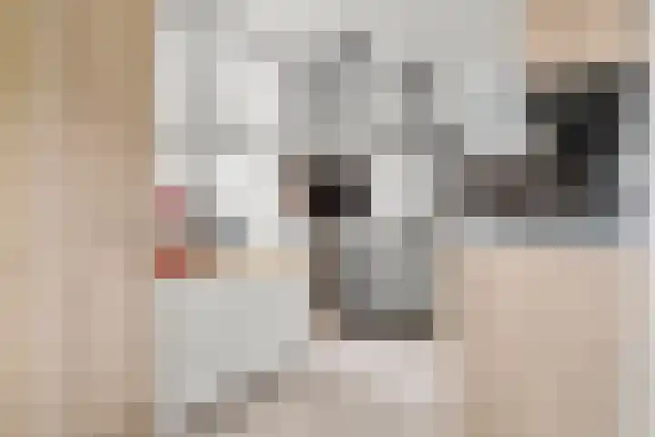 Reeshofbos 43 Ede thumbnail 31