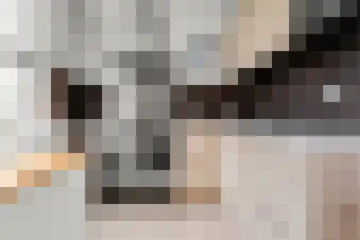 Reeshofbos 43 Ede thumbnail 32