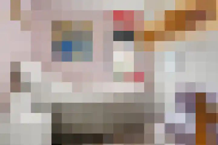 Reeshofbos 43 Ede thumbnail 38