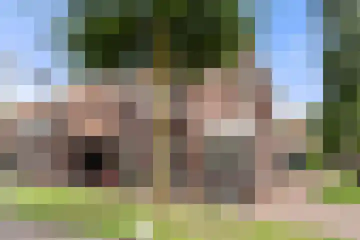 Reeshofbos 43 Ede thumbnail 6