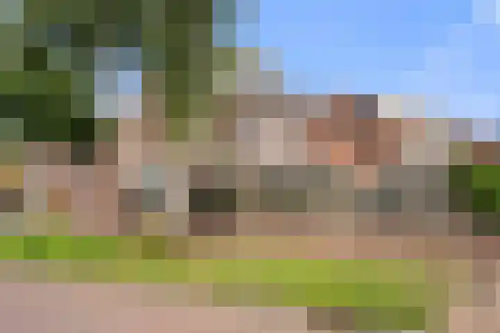 Reeshofbos 43 Ede thumbnail 8