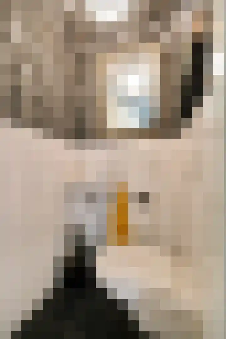 Reeshofbos 6 Ede thumbnail 12