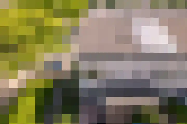 Reeshofbos 6 Ede thumbnail 13