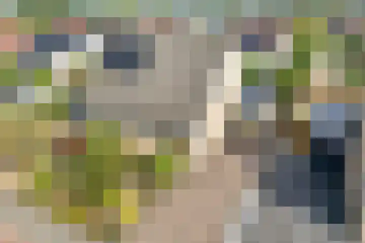 Reeshofbos 6 Ede thumbnail 19
