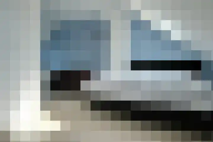 Reeshofbos 6 Ede thumbnail 24