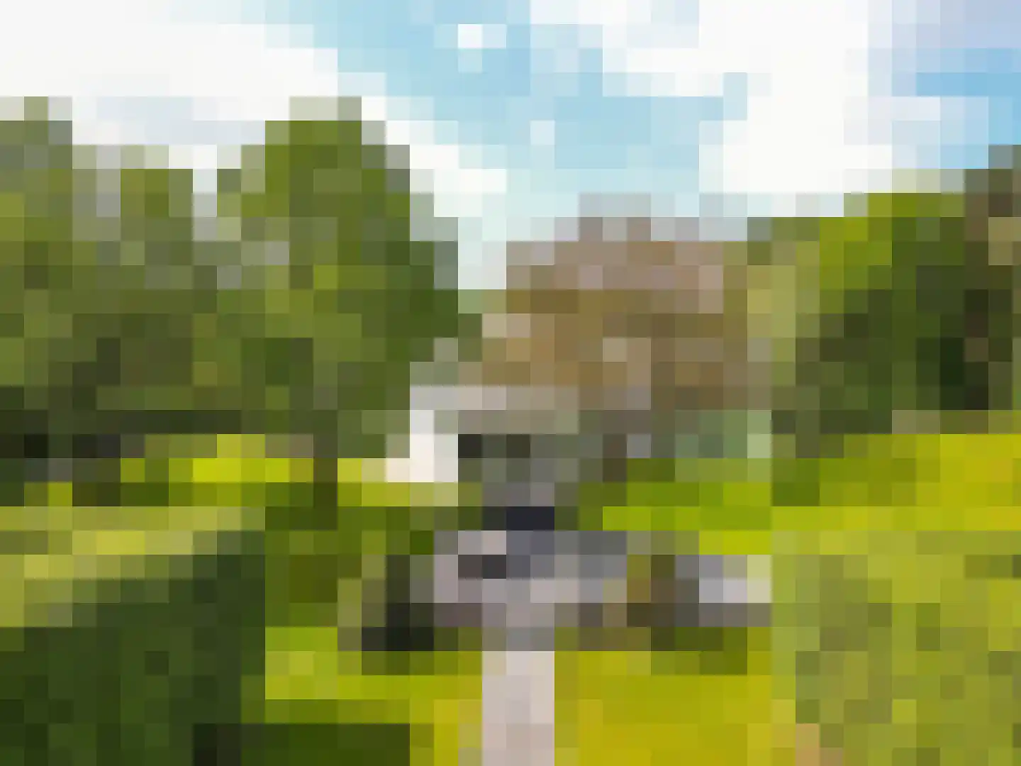 Reeshofdijk 15 Tilburg thumbnail 11