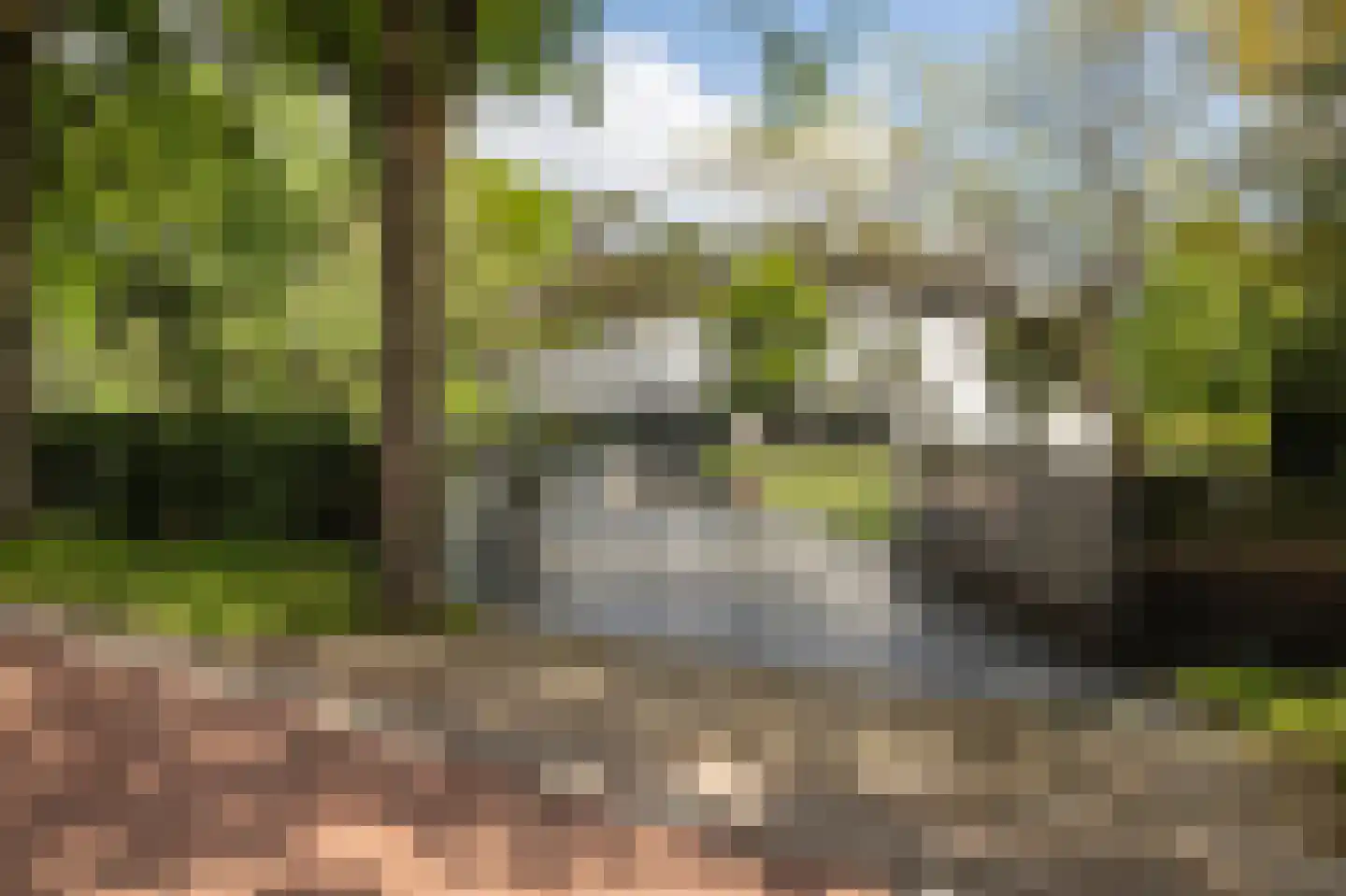 Reeshofdijk 15 Tilburg thumbnail 7