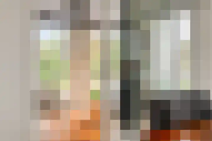 Reeshofweg 44 Tilburg thumbnail 13